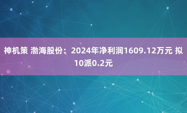 神机策 渤海股份：2024年净利润1609.12万元 拟10派0.2元