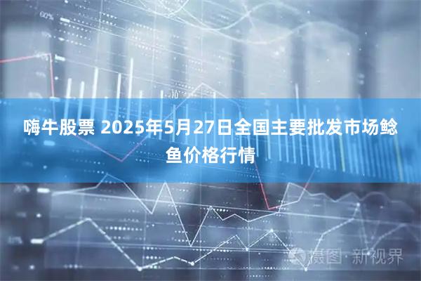 嗨牛股票 2025年5月27日全国主要批发市场鲶鱼价格行情