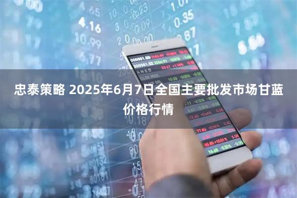 忠泰策略 2025年6月7日全国主要批发市场甘蓝价格行情
