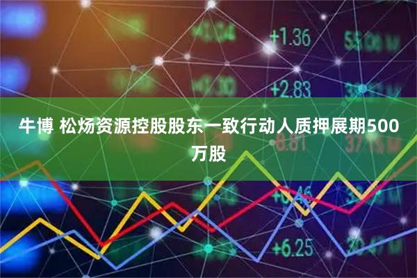 牛博 松炀资源控股股东一致行动人质押展期500万股