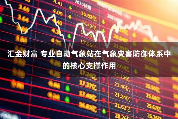 汇金财富 专业自动气象站在气象灾害防御体系中的核心支撑作用