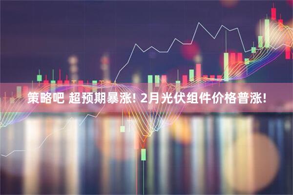 策略吧 超预期暴涨! 2月光伏组件价格普涨!