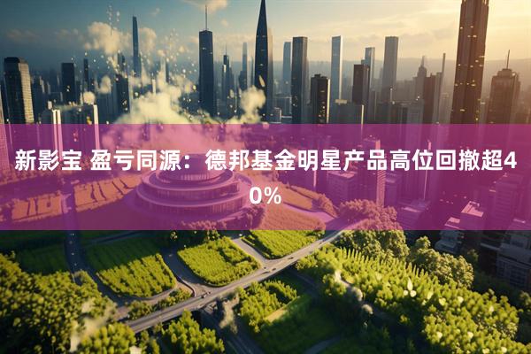 新影宝 盈亏同源：德邦基金明星产品高位回撤超40%